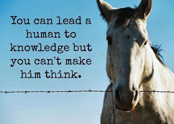 you can lead a human to knowledge...