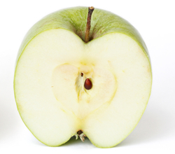 Granny Smith Apple